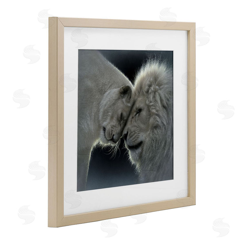 Collin Bogle | White Lion Love