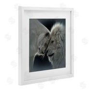 Collin Bogle | White Lion Love