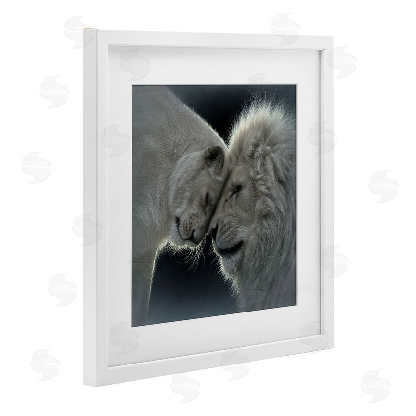 Collin Bogle | White Lion Love