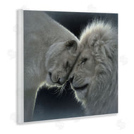 Collin Bogle | White Lion Love
