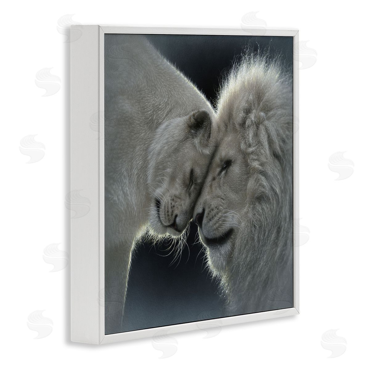 Collin Bogle White Lion Love Canvas Wall Art Print
