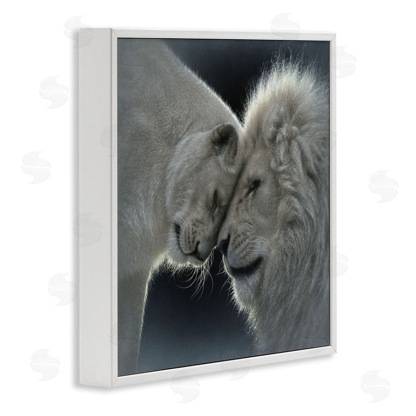 Collin Bogle | White Lion Love