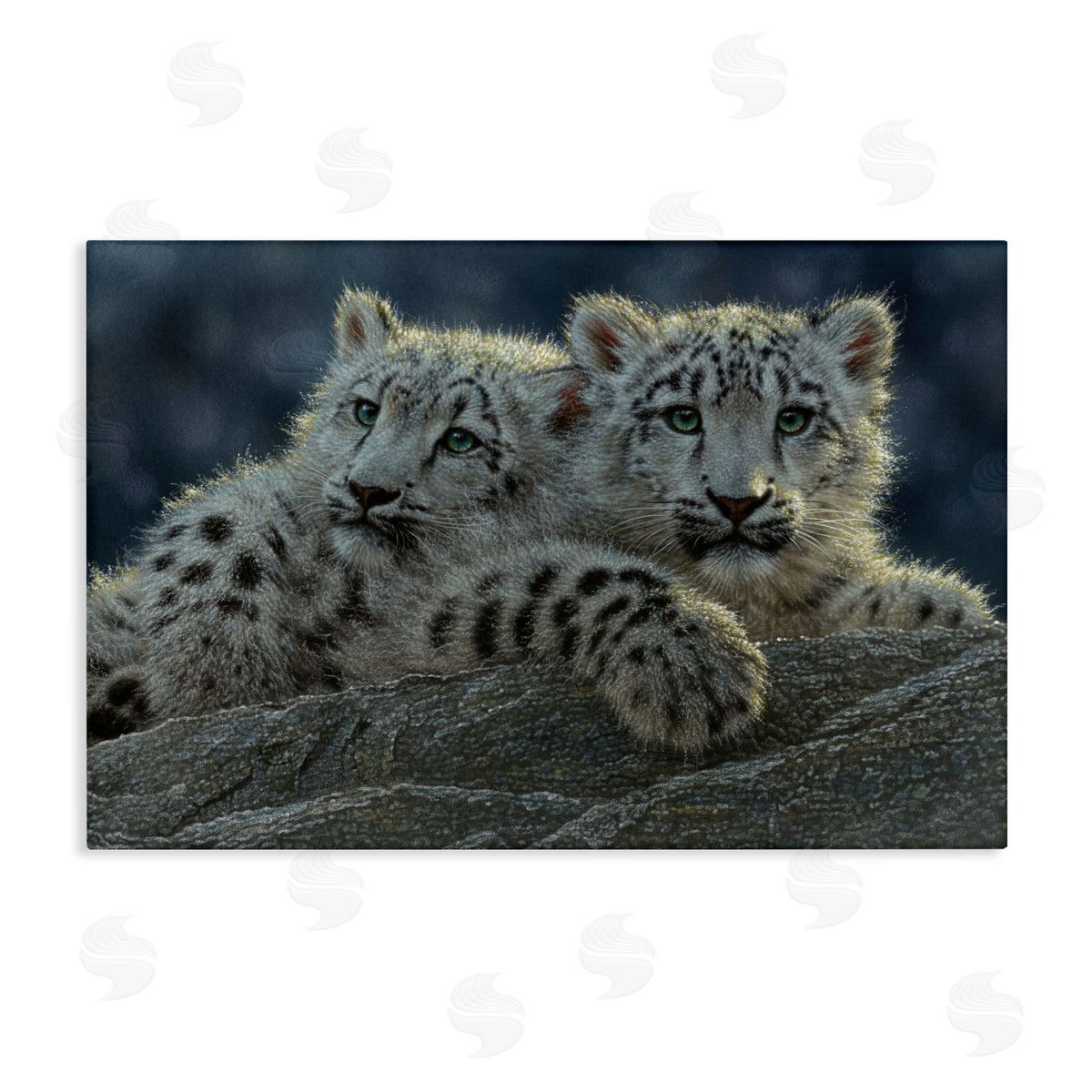 Collin Bogle Snow Leopard Cuddle Canvas Wall Art Print