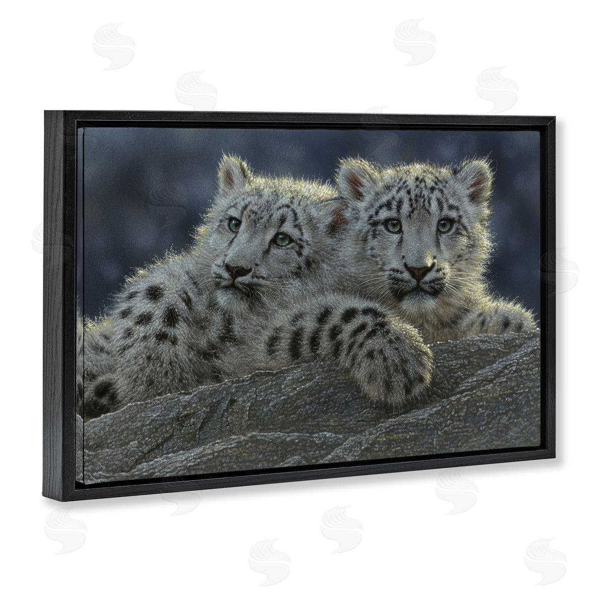 Collin Bogle Snow Leopard Cuddle Canvas Wall Art Print