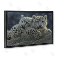 Collin Bogle | Snow Leopard Cuddle