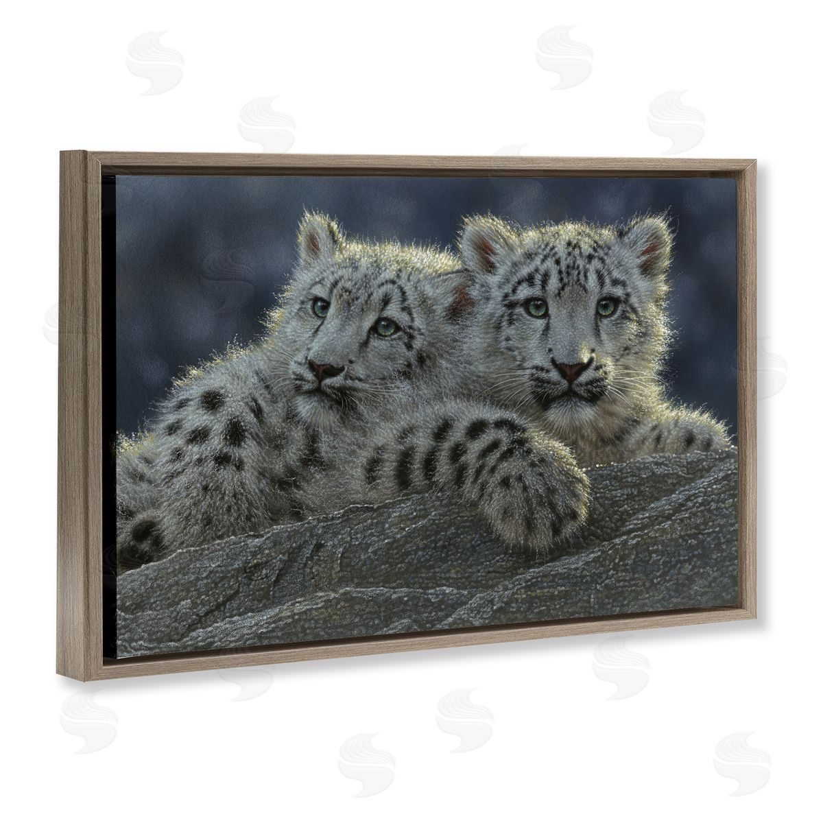 Collin Bogle Snow Leopard Cuddle Canvas Wall Art Print