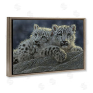 Collin Bogle | Snow Leopard Cuddle