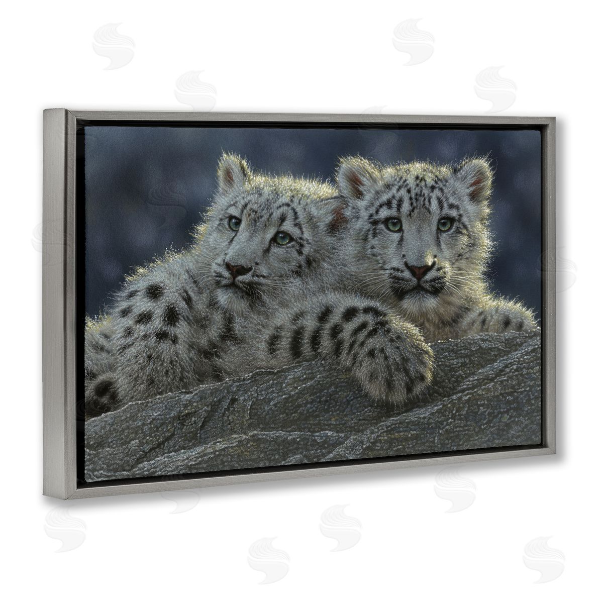 Collin Bogle Snow Leopard Cuddle Canvas Wall Art Print
