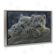 Collin Bogle | Snow Leopard Cuddle