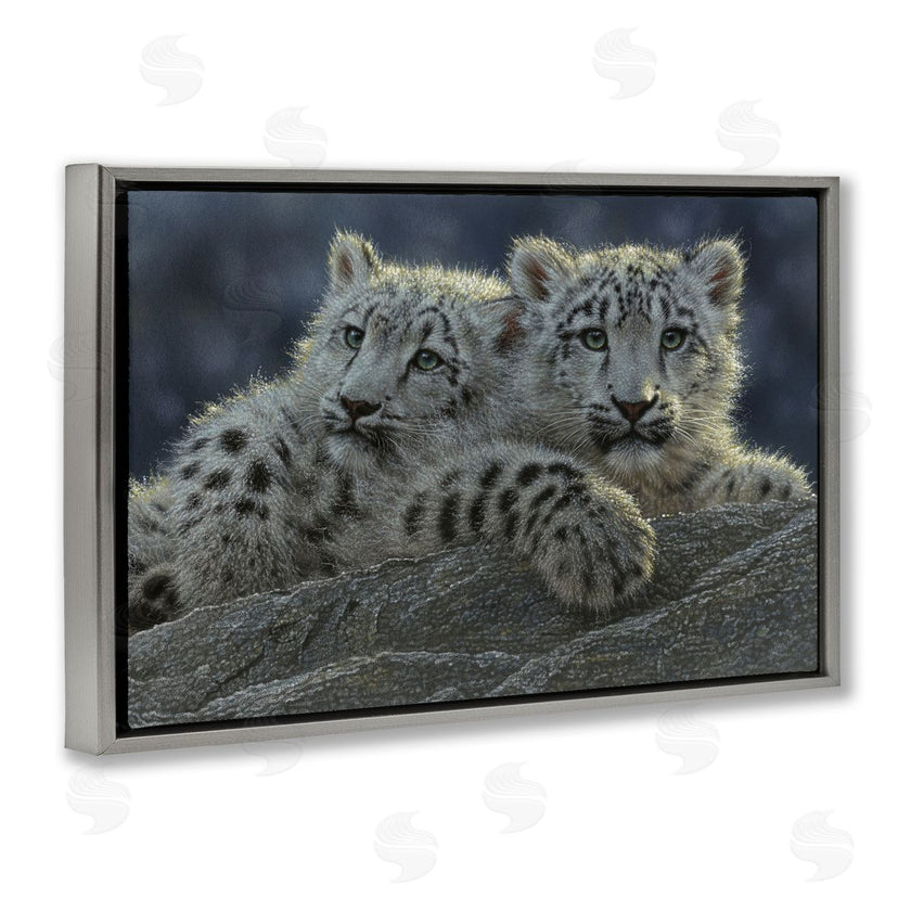 Collin Bogle | Snow Leopard Cuddle