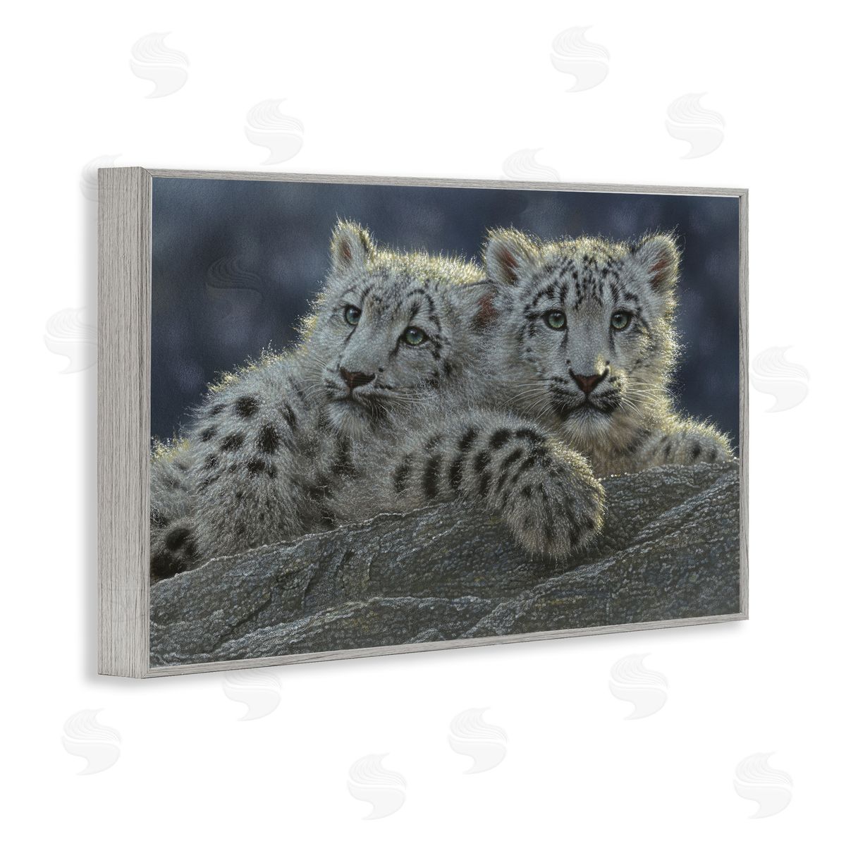 Collin Bogle Snow Leopard Cuddle Canvas Wall Art Print