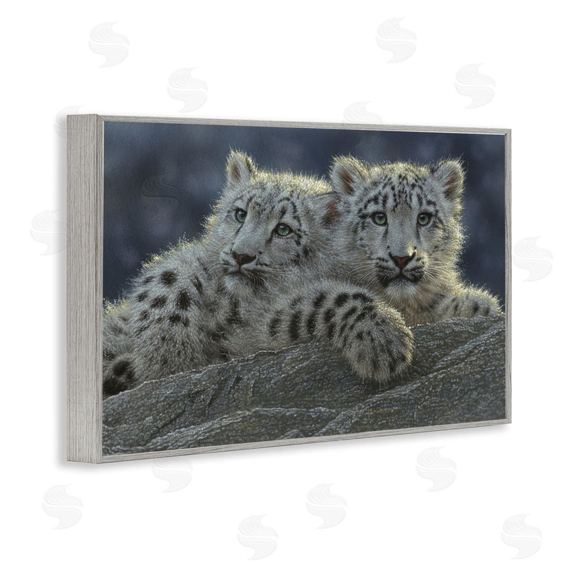 Collin Bogle | Snow Leopard Cuddle
