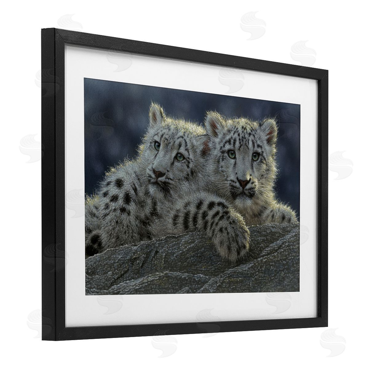 Collin Bogle Snow Leopard Cuddle Canvas Wall Art Print
