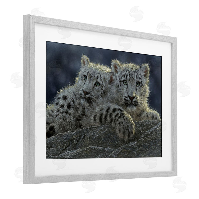 Collin Bogle | Snow Leopard Cuddle