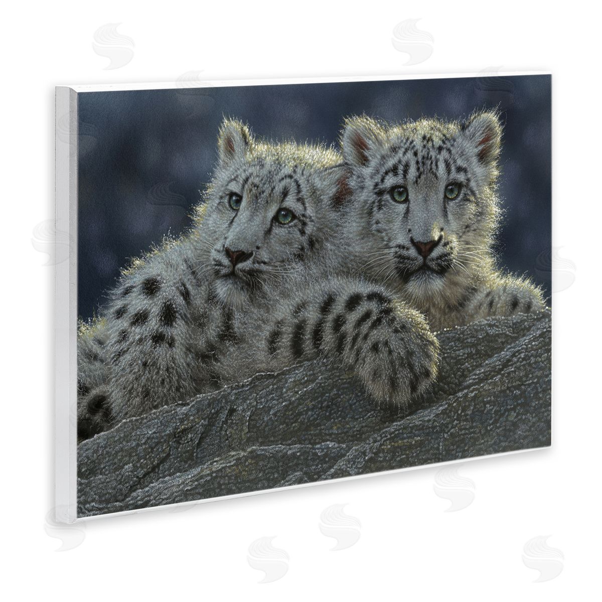 Collin Bogle Snow Leopard Cuddle Canvas Wall Art Print