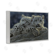 Collin Bogle | Snow Leopard Cuddle
