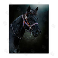 Kelley Parker | Pride Of The Pasture Horse