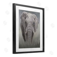 Kelley Parker | Graceful Titan Elephant
