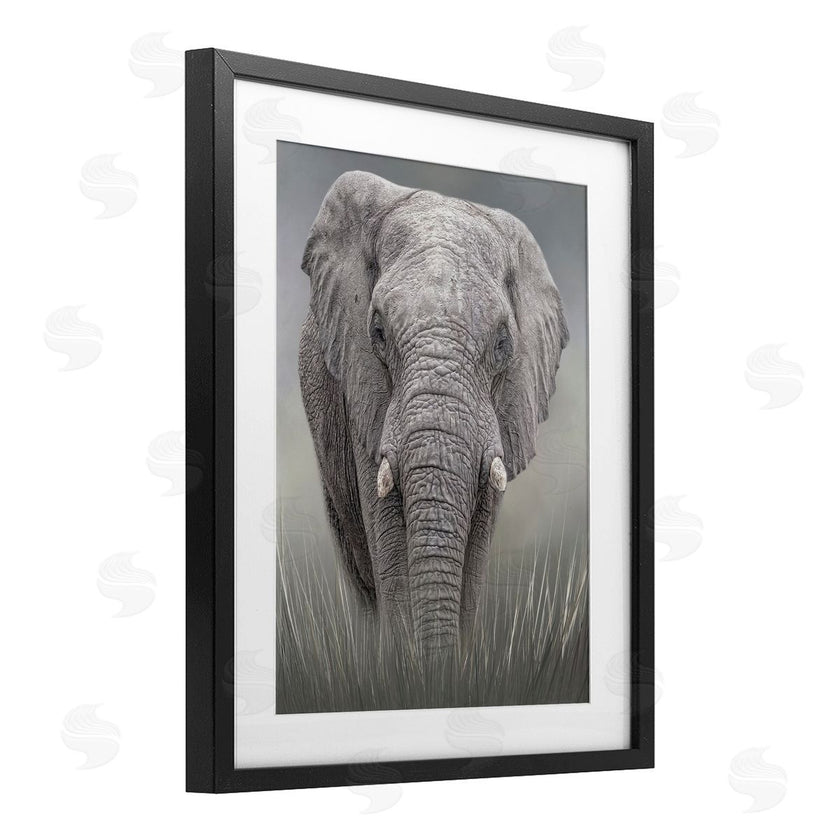 Kelley Parker | Graceful Titan Elephant