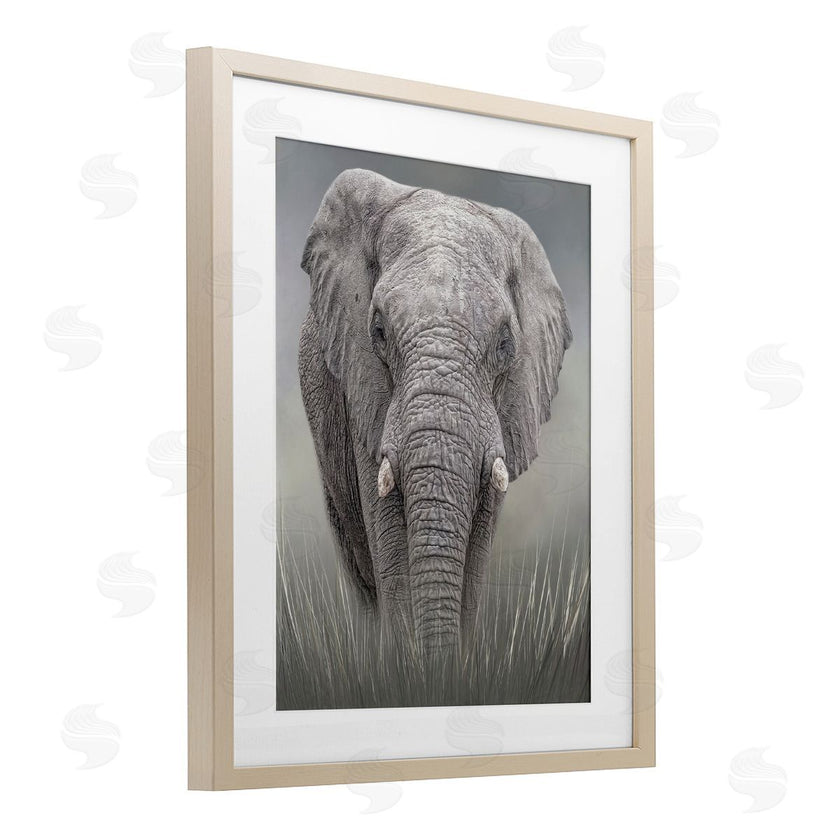 Kelley Parker | Graceful Titan Elephant