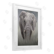 Kelley Parker | Graceful Titan Elephant