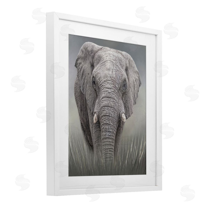 Kelley Parker | Graceful Titan Elephant