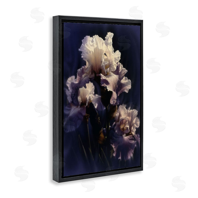 Collin Bogle | Purple Iris Close Up