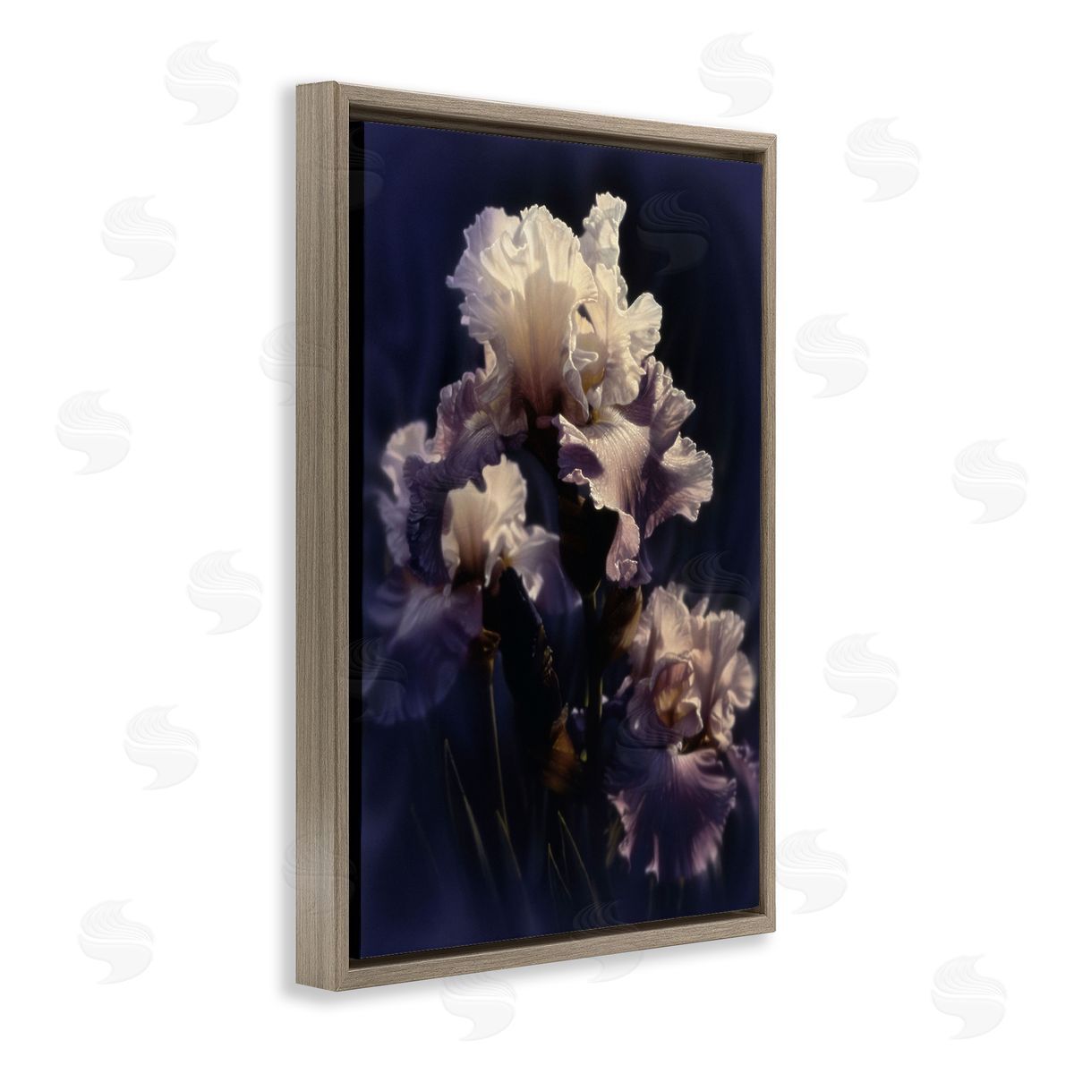 Collin Bogle Purple Iris Close Up Canvas Wall Art Print