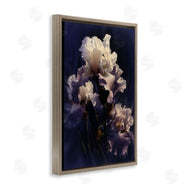 Collin Bogle | Purple Iris Close Up