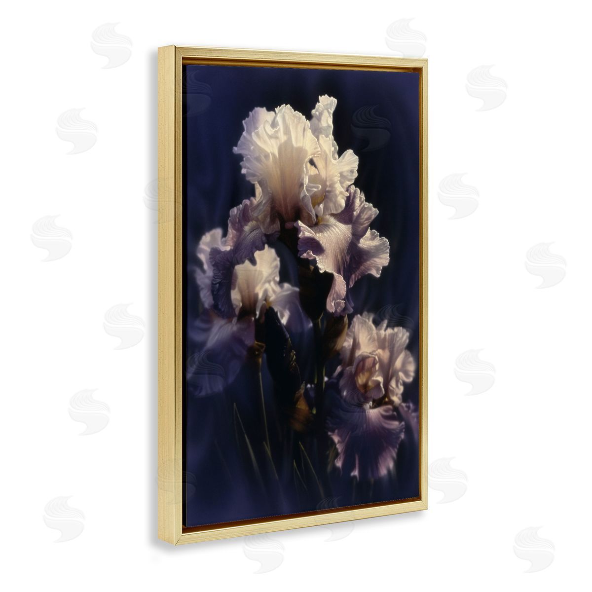 Collin Bogle Purple Iris Close Up Canvas Wall Art Print