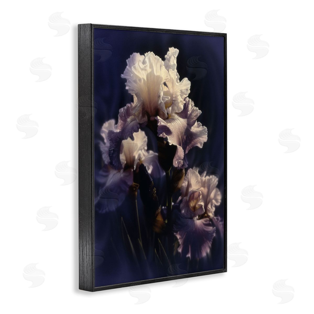Collin Bogle Purple Iris Close Up Canvas Wall Art Print
