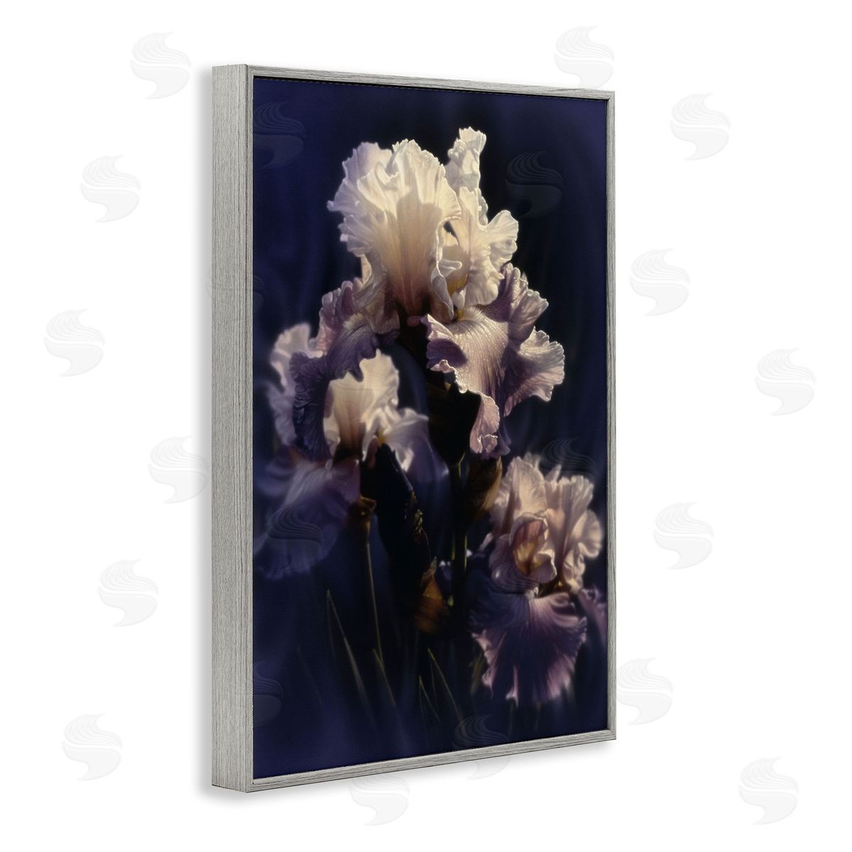 Collin Bogle Purple Iris Close Up Canvas Wall Art Print