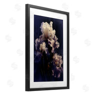 Collin Bogle | Purple Iris Close Up