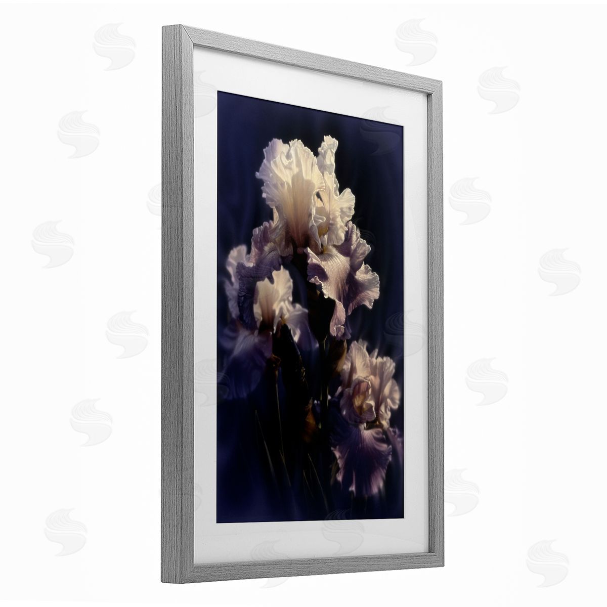 Collin Bogle Purple Iris Close Up Canvas Wall Art Print