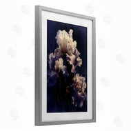 Collin Bogle | Purple Iris Close Up