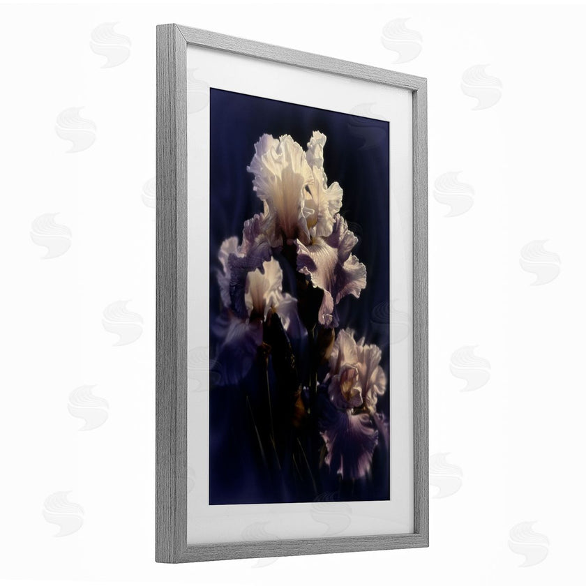 Collin Bogle | Purple Iris Close Up