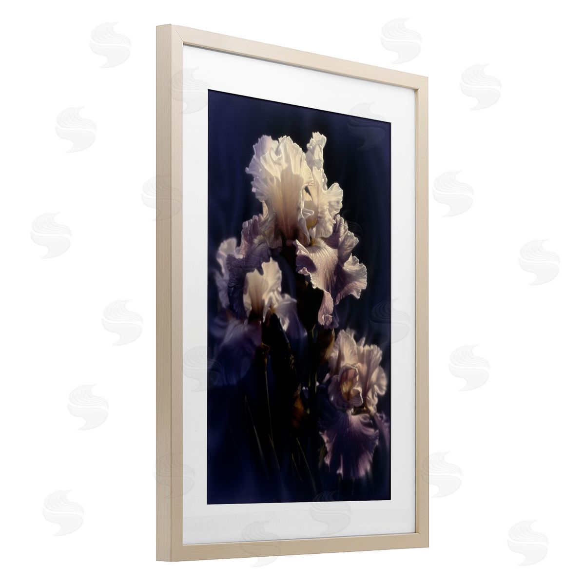 Collin Bogle Purple Iris Close Up Canvas Wall Art Print