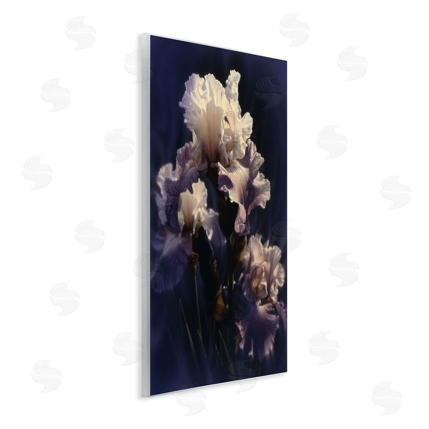 Collin Bogle | Purple Iris Close Up