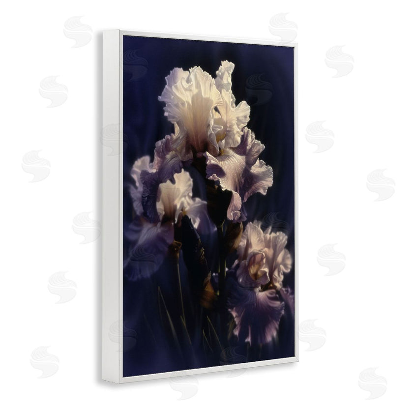 Collin Bogle | Purple Iris Close Up