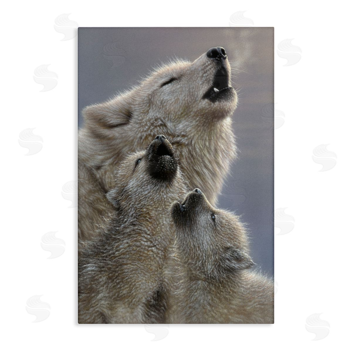 Collin Bogle Singing Lessons White Wolves Canvas Wall Art Print