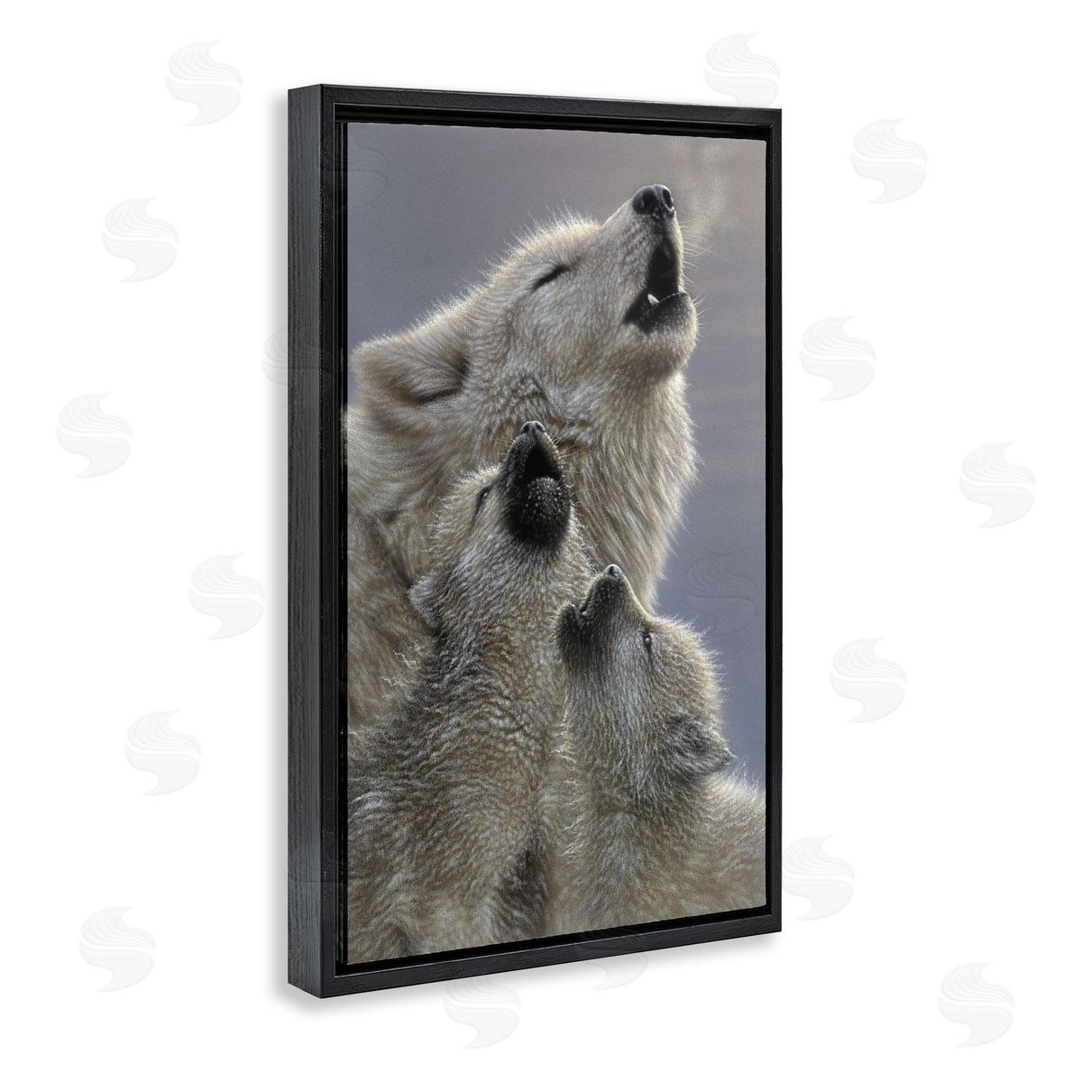 Collin Bogle Singing Lessons White Wolves Canvas Wall Art Print
