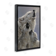 Collin Bogle | Singing Lessons White Wolves