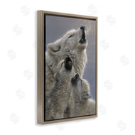 Collin Bogle | Singing Lessons White Wolves