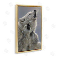 Collin Bogle | Singing Lessons White Wolves