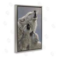 Collin Bogle | Singing Lessons White Wolves