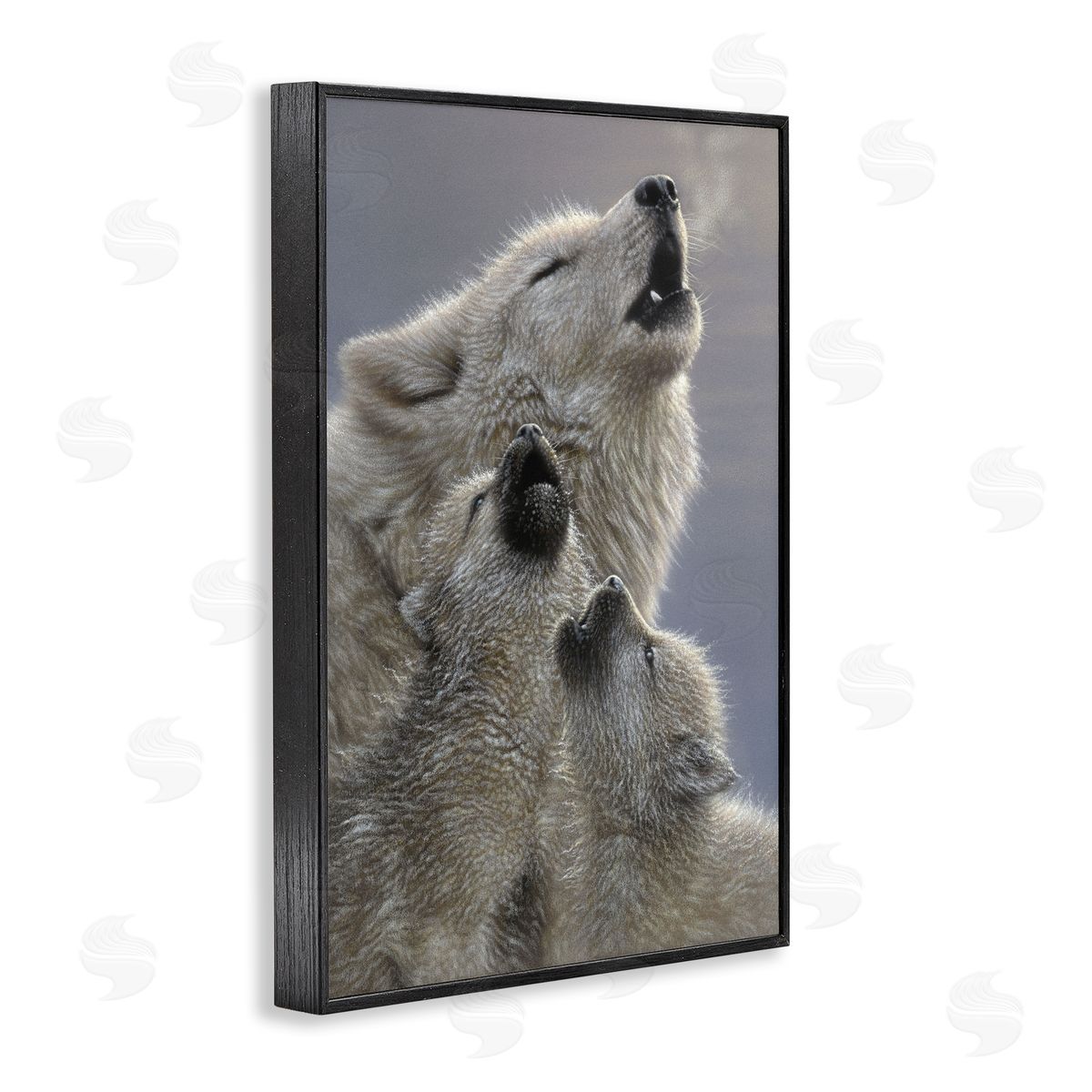 Collin Bogle Singing Lessons White Wolves Canvas Wall Art Print