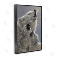 Collin Bogle | Singing Lessons White Wolves