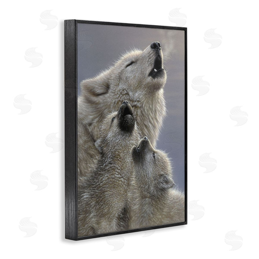 Collin Bogle | Singing Lessons White Wolves