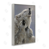 Collin Bogle | Singing Lessons White Wolves