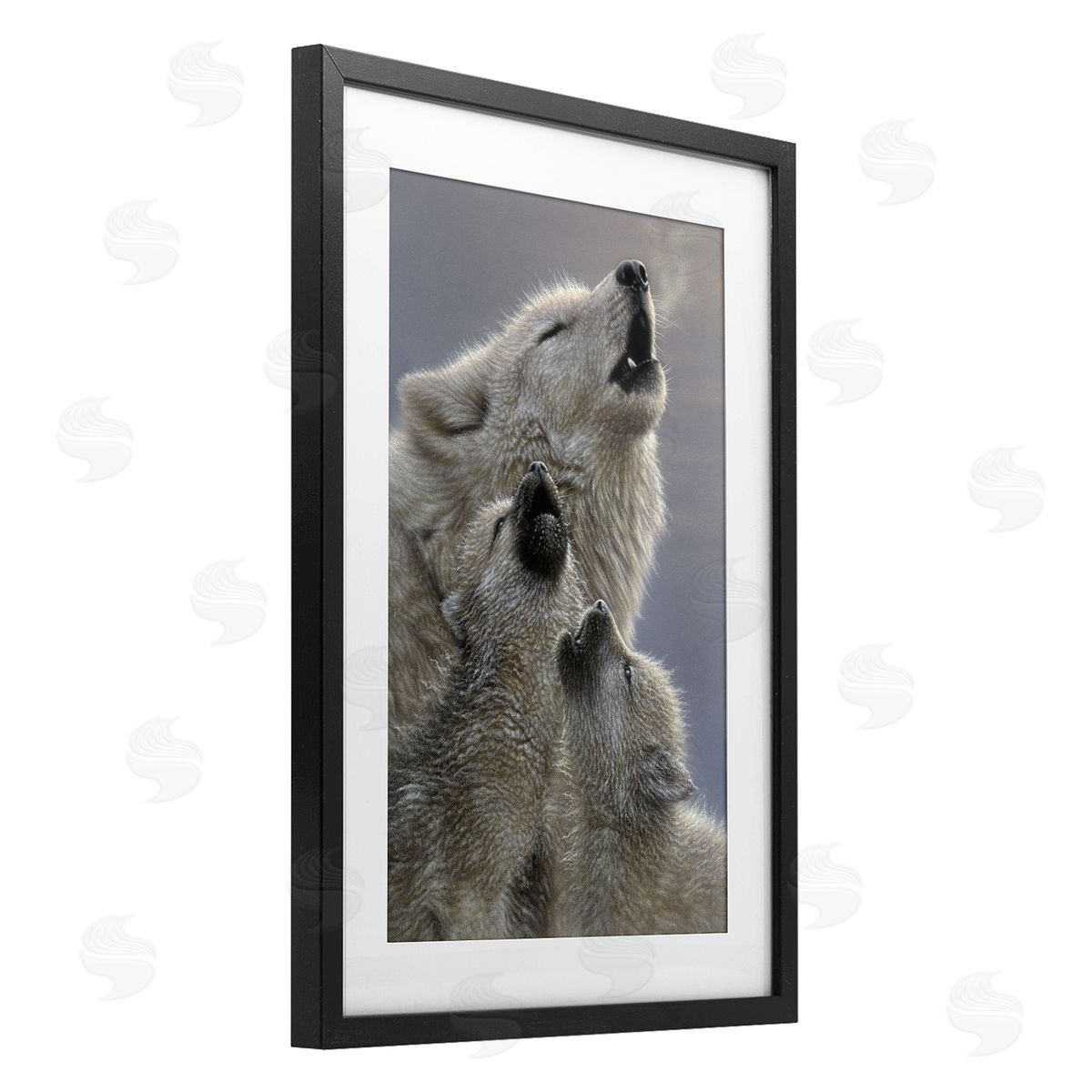 Collin Bogle Singing Lessons White Wolves Canvas Wall Art Print